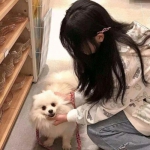 暗月传说满v变态版下载