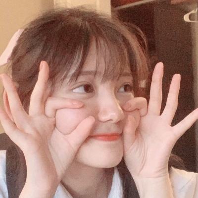 妃十三学园内购破解版下载
